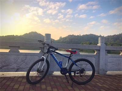 週末旅行のニュース